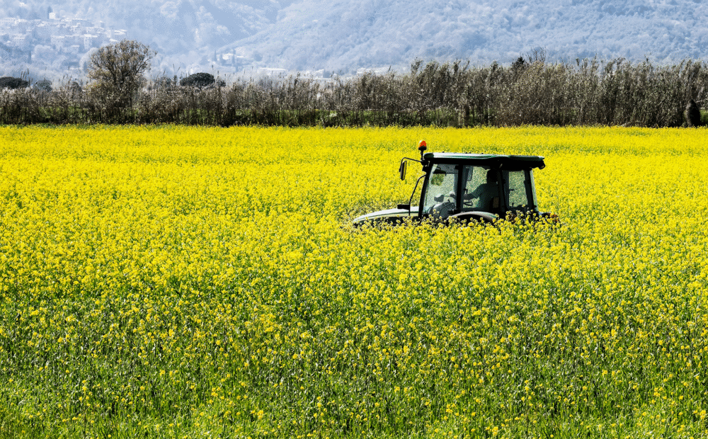 enws-hero-2020-curacy_1920x1280