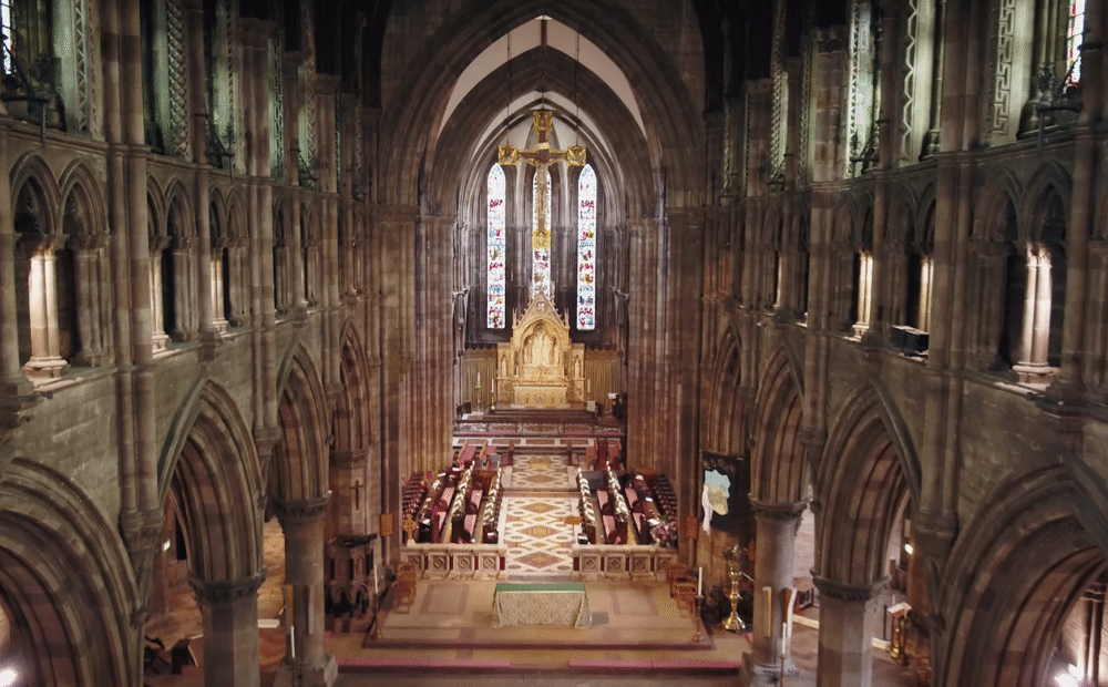 artizo-100 artizo-100